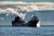A Decarbonization Plan for Great Lakes Shipping